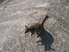 CairnsTC120 Granite Gorge